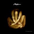 Avar - A csend éve