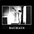 Bauhaus - In the Flat Field