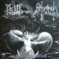 Blut aus Nord - Decorporation (Split)