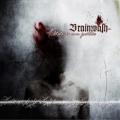 Brainwash - hate is our justice