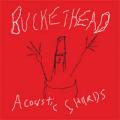 Buckethead - Acoustic Shards
