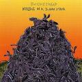 Buckethead - Needle in a Slunk Stack