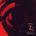 Burning Skies - A Premonition of Things to Come (EP)