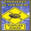 Cadaveres De Tortugas - Turtles Ahead