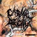 Carnal Decay - Carnal Pleasures