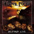 Carnal Forge - Destroy Live