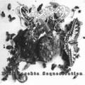 Celestia - Dead Insecta Sequestration