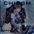 Chiasm - Embryonic