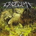 Cholera - The Answers To Inflection