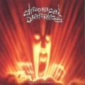 Chronical Diarrhoea - The Last Judgement