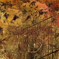 Daily broken dream - freedom