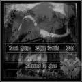 Dark Fury - Alliance in Hate
