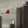 Deluhi - Two Hurt