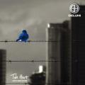 Deluhi - Two Hurt -FOOL’S MATE EDITION-