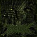 Disfiguring The Goddess - Disfiguring The Goddess (Ep)