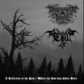 Drowning The Light - Drowning The Light/Evil (Split)