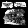 Drowning The Light - Drowning The Light/Forbidden Citadel Of Spirits (Split)