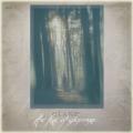 Elane - The fire of Glenvore