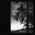 Empyrium - Where at Night the Wood Grouse Plays