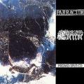 EverEve - Parracide / Evereve ( Split )