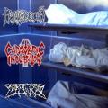 Fetal Decay - Cadaveric Incubator / Fetal Decay / Mortalized