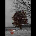 FGFC820 - The Hanging Garden