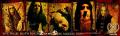 Five Finger Death Punch
