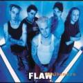 Flaw - Flaw