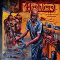 Fleshless - Devoured Beyond Recognition