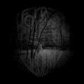Forest of Shadows - <font color="#FFFFFF">Under the Dying Sun (demo)