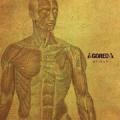 Gored - Human