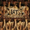 Hate - The Litanies of Satan, Live