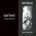 Hate Forest - The Most Ancient Ones