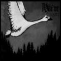 Häive - Vaiti