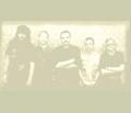 hobo blues band