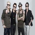 Hooligans