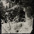 Hypothermia - Skogens Hjärta