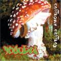 Incubus zenekar - Fungus Amongus