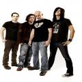 infected mushroom