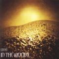 In The Woods... - Omnio
