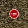 Isis - In The Absence Of Truth
