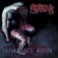 Kataplexia - Catastrophic Scenes