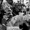 Kawir - Arai (Full-length)