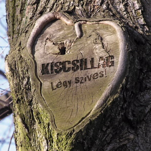Kiscsillag logo