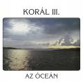 Korál - Az óceán