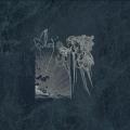 Les Discrets - Alcest / Les Discrets