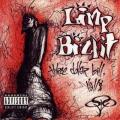 Limp Bizkit - The Dollar Bill,Yall