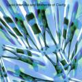 Michael Angelo Batio - Lucid Intervals and Moments of Clarity