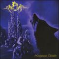Mänegarm - Nordstjärnans Tidsålder