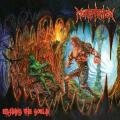 Mortification - Erasing The Goblin